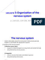 Unit 2-Part 4-Oranization of Nervous System-1-S