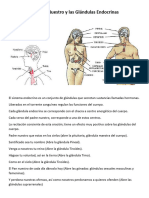 El Padre Nuestro y Las Glándulas Endocrinas