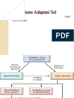Mekanisme Adaptasi Sel