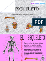 1 Presentación El Esqueleto Perf