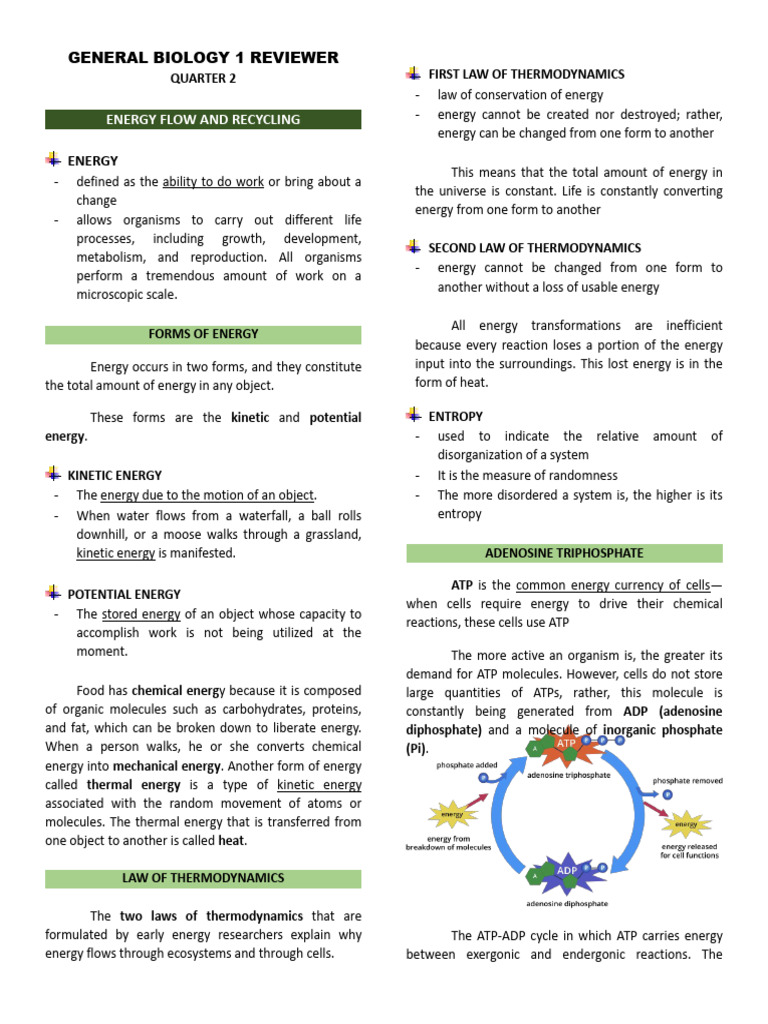 General Biology 1 Reviewer Quarter 2 | PDF