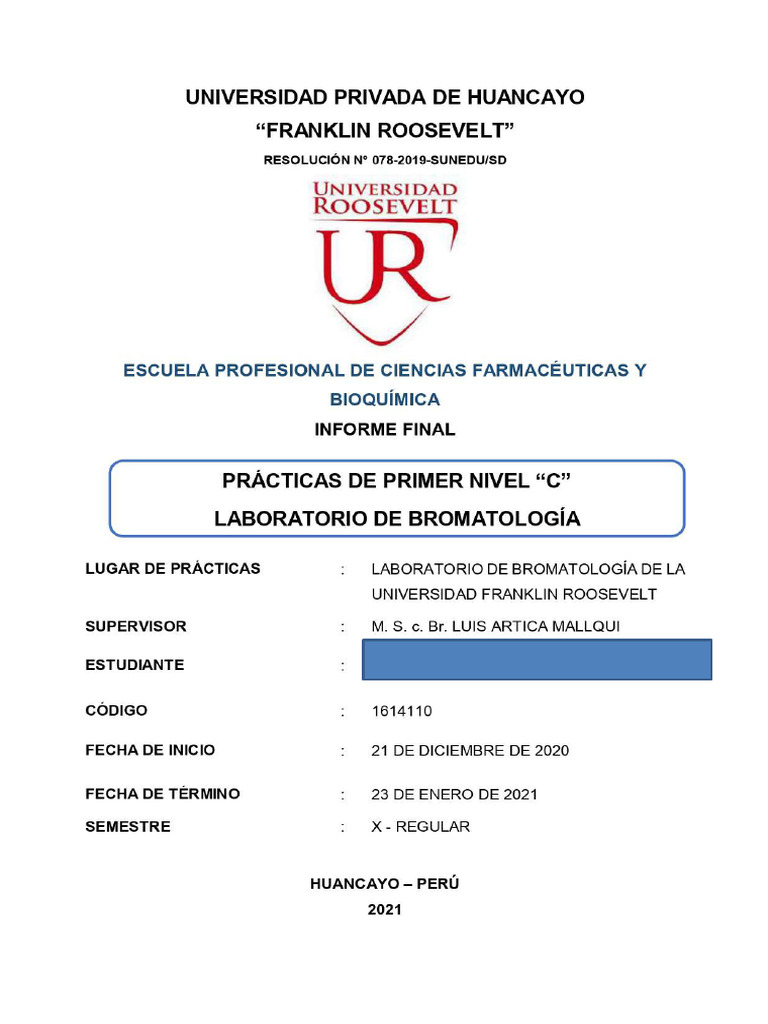 MODELO REFERENCIAL DE INFORME DE PRACTICAS 2024 Final - pdf11 | PDF