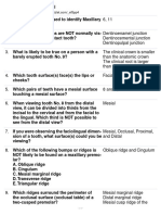 Oral Anatomy Final