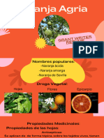 Naranja Agria Informacion
