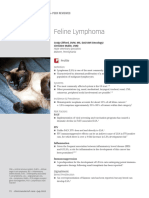 Coc - Feline Lymphoma 24166 Article