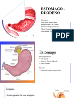 Estomago Duodeno