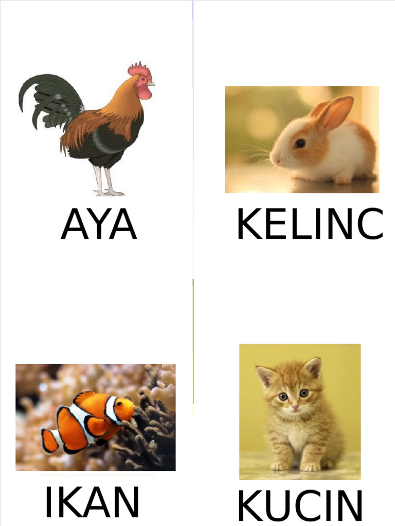 Gambar Hewan Dan Bahasa Inggrisnya | PDF