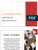 Autodirigidos