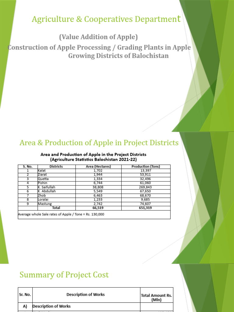 Value Addition of Apple Revised | PDF | Fruit Preserves | Juice