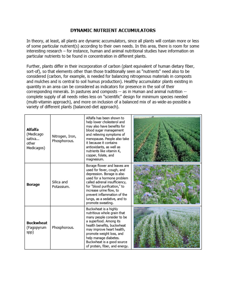 Dynamic Nutrient Accumulators | PDF | Nutrients | Diseases And Disorders