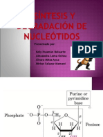Sintesis y Degradacion de Nucleotidos