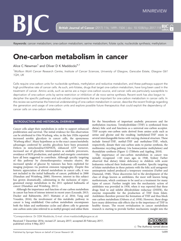 On Carbon | PDF