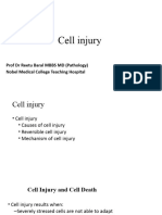 2 Class Cell Injury