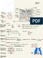 Tarea Taller Imagen Neumo