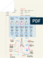 Síndromes Pleuro Pulmonares