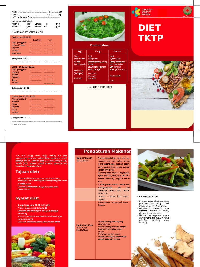 Panduan Diet TKTP Kemenkes | PDF