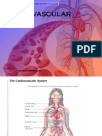 Ch11 CardiovascularSystem