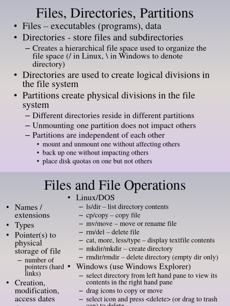 Lecture 5 | PDF | Computer File | User (Computing)