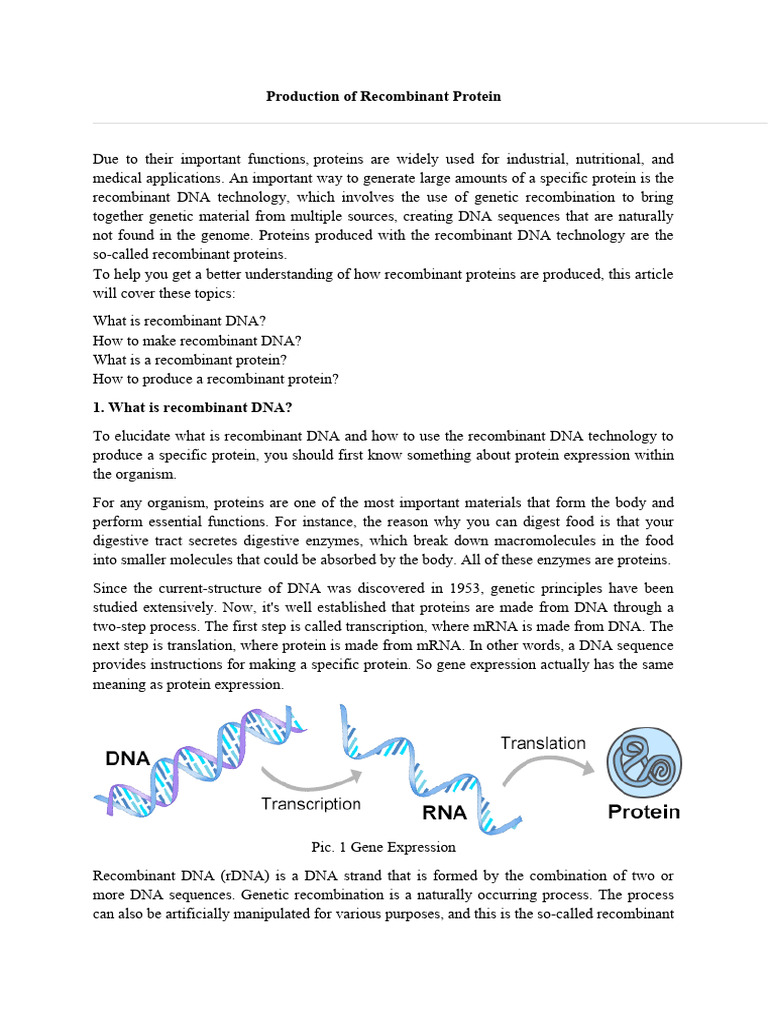 Recombinant Protein Production Guide | PDF | Molecular Cloning ...