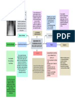 Mapa Conceptual