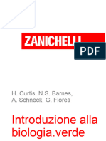 SINTESI Proteica Zanichelli