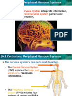 L.29.4 Bio