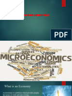 Grade XI - Microeconomics - Introduction