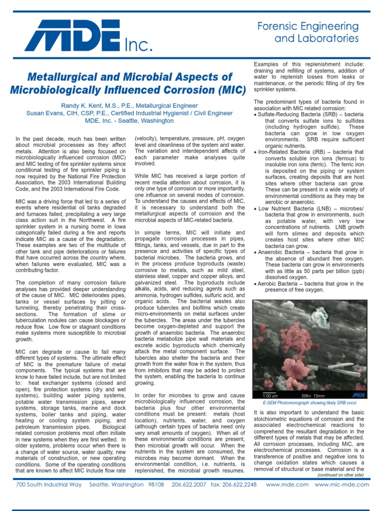 Metallurgical and Microbial Aspects of Microbiologically Influenced ...