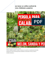 5 Consejos para Tener Un Cultivo Vertical de Sandias Melones