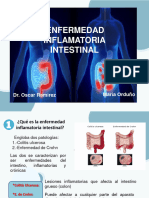 Enfermedad Intestinal Inflamatoria