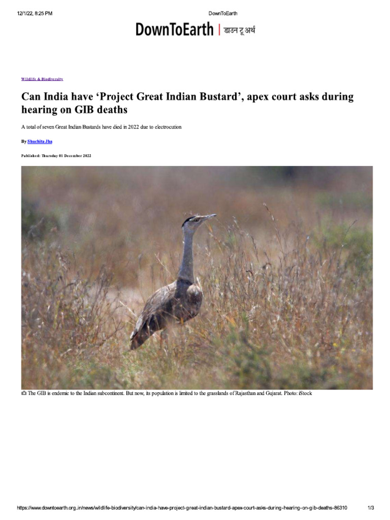 Project Great Indian Bustard | PDF