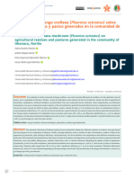 Producción de Hongo Orellana (Pleurotus Ostreatus) Sobre Residuos Agrícolas y Pastos Generados en La Comunidad de Obonuco, Nariño