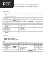 Anatomy Foot Summary