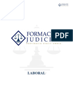 Apunte Laboral Formación Judicial