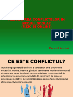Rezolvarea Conflictelor in Mediul Scolar (Fizic Si Online)