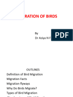 I MSC Zoology CPT2.1 Biology of Chordates Topic Migrations of Birds