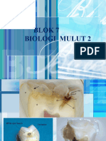 Biologi Mulut 2 2023