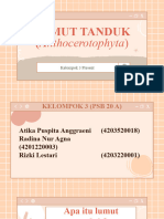 Kelompok 3 - PPT Lumut Tanduk - PSB 20 A