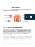 Tejidos Del Cuerpo Humano - Información y Características