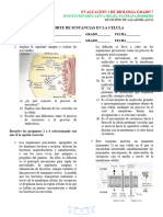 Evaluacion Del Taller 1 - Circulacion en La Celula