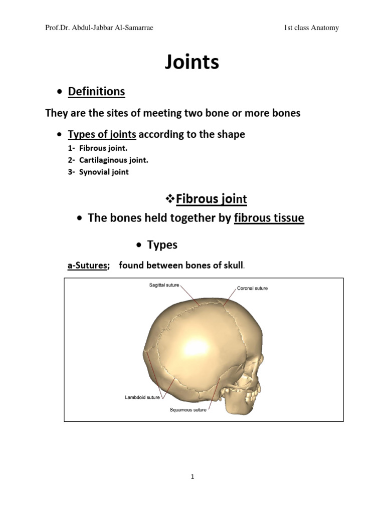 anatomy lac.3 PDF Anatomical Terms Of Motion Musculoskeletal System