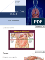 Sistema Digestrio Parte 2 2