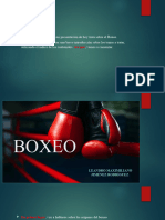 Boxeo 3.0 Con Conectores