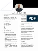 Curriculum Vitae - Lucas Guedes