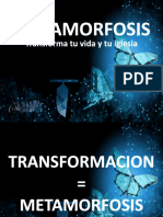 3.Seminario-Metamorfosis