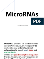MicroRNA-Babak Nami
