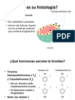 TIROIDES