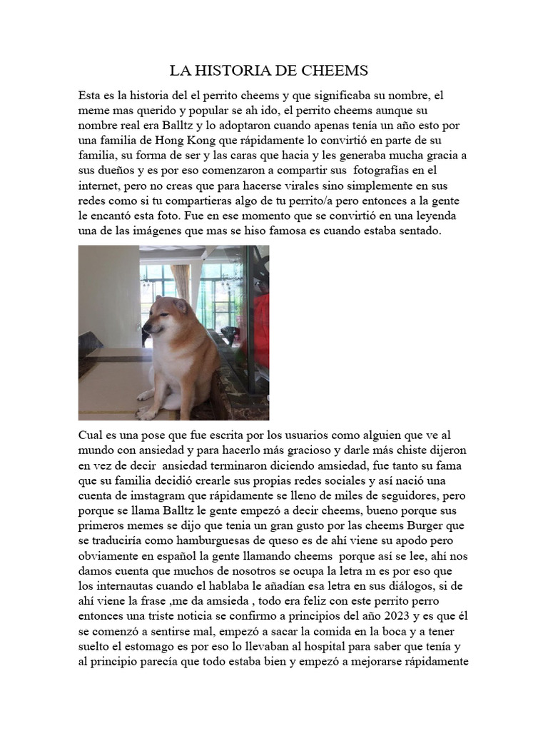 La Historia de Cheems | PDF