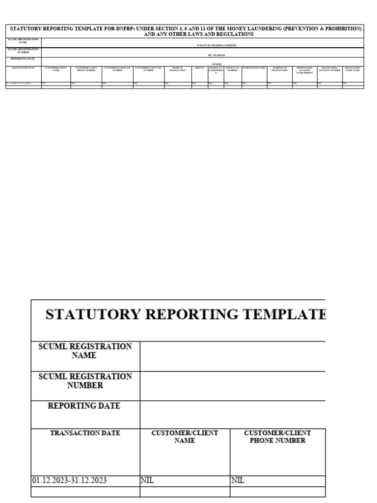 DNFBP Statutory Reporting Template | PDF | Banks | Banking