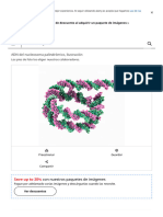 ADN Del Nucleosoma Palindrómico, Ilustración Fotografía de Stock - Alamy